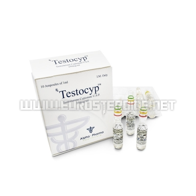 Testocyp - 250mg/ml (10amp) - Alpha Pharma