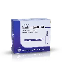 Testosterone Enanthate 250mg/ml 10x1ml Ampullen von Aburaihan Iran